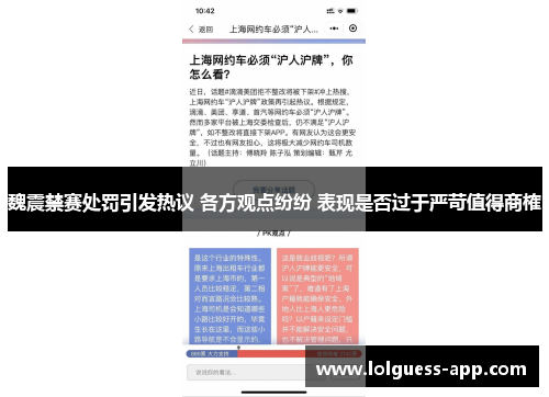 魏震禁赛处罚引发热议 各方观点纷纷 表现是否过于严苛值得商榷