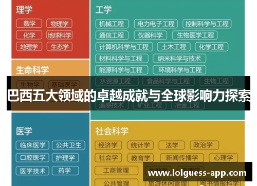 巴西五大领域的卓越成就与全球影响力探索